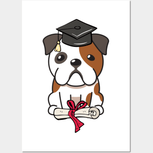 Funny Bulldog is graduating Posters and Art